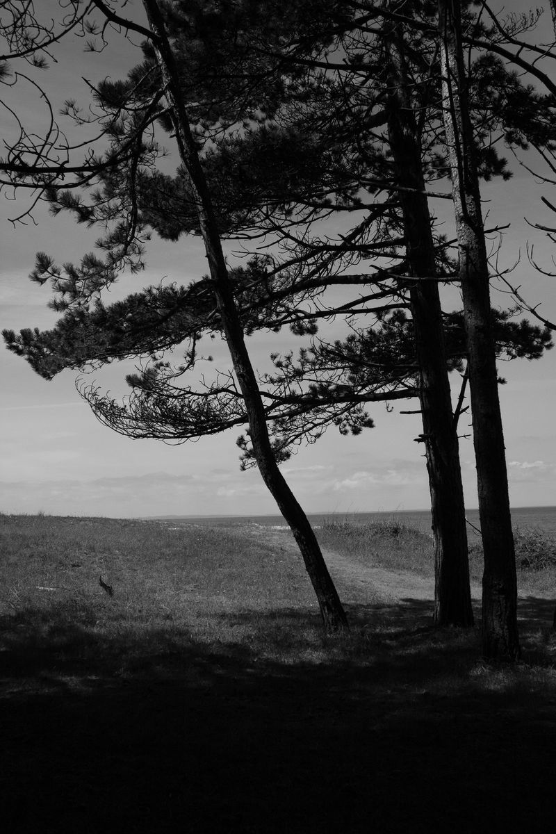 © Nadia Marilena Roccato - Image from the Disconnected photography project