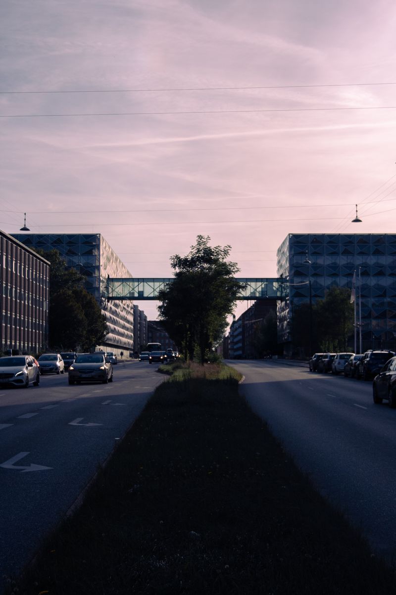 © Nadia Marilena Roccato - Image from the Disconnected photography project