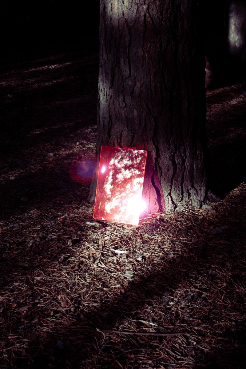 © Nadia Marilena Roccato - Image from the Disconnected photography project