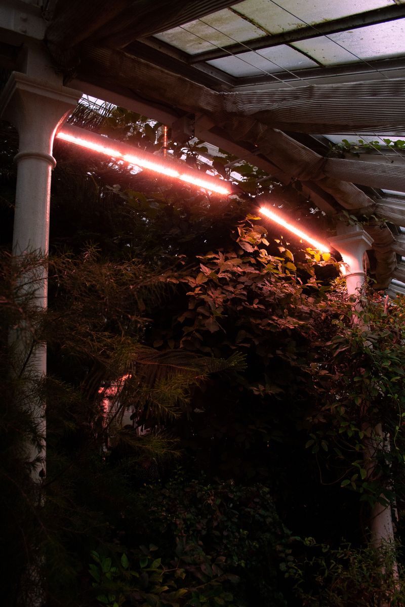 © Nadia Marilena Roccato - Image from the Disconnected photography project