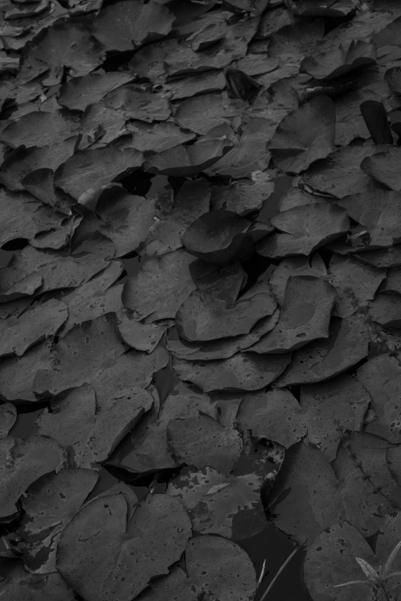 © Nadia Marilena Roccato - Image from the Disconnected photography project