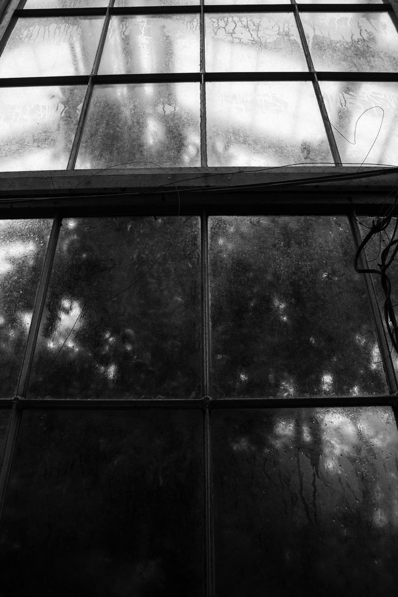 © Nadia Marilena Roccato - Image from the Disconnected photography project