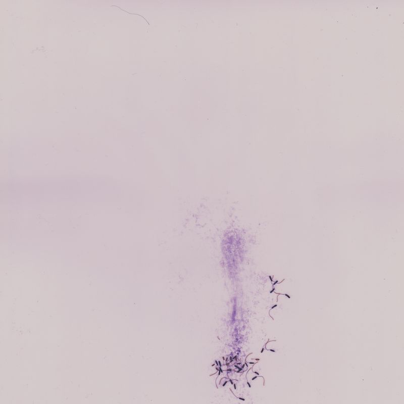 © Nadia Marilena Roccato - Image from the Disconnected photography project