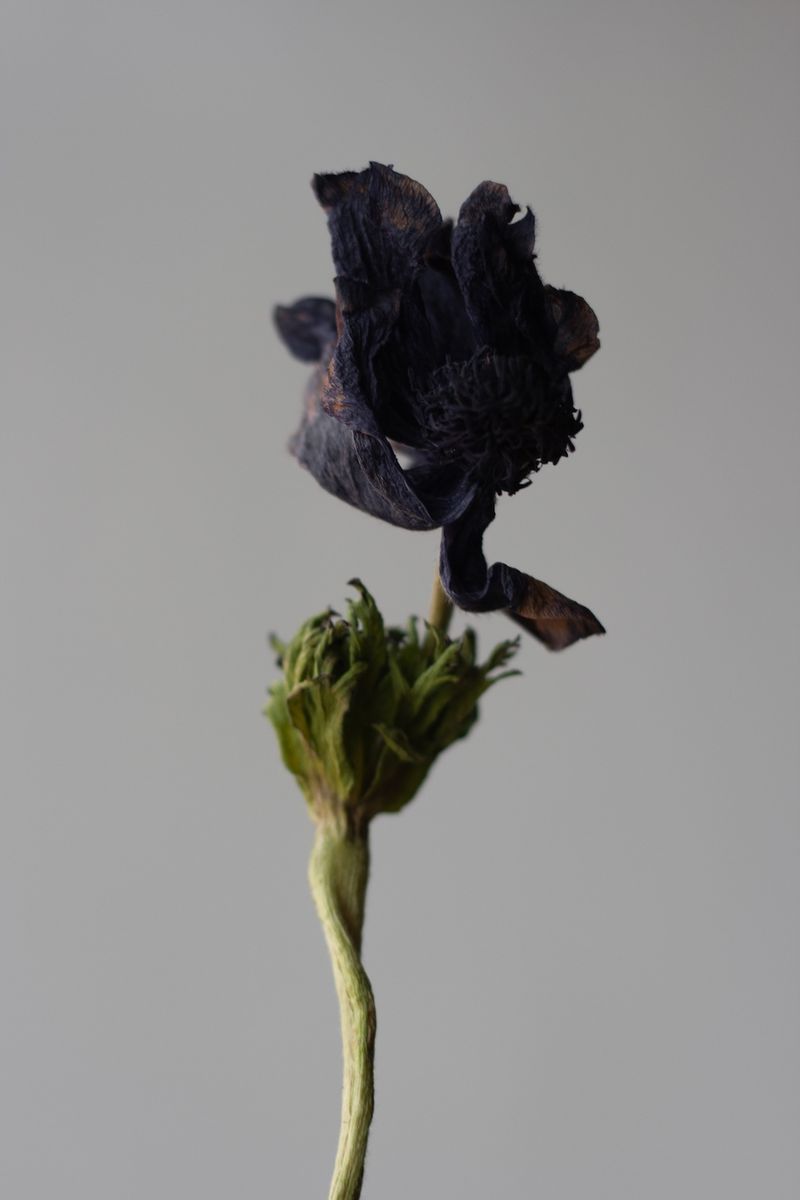 © Nadia Marilena Roccato - Image from the You Can Call It Homeless Love photography project
