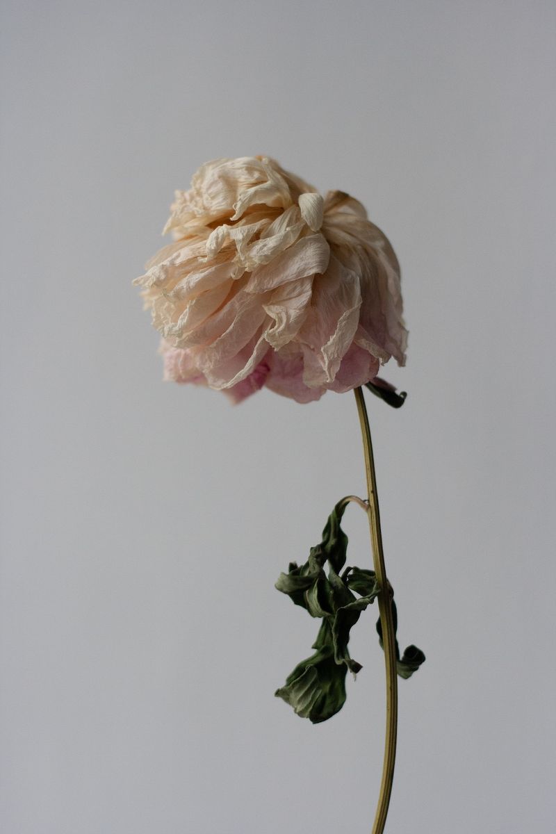 © Nadia Marilena Roccato - Image from the You Can Call It Homeless Love photography project