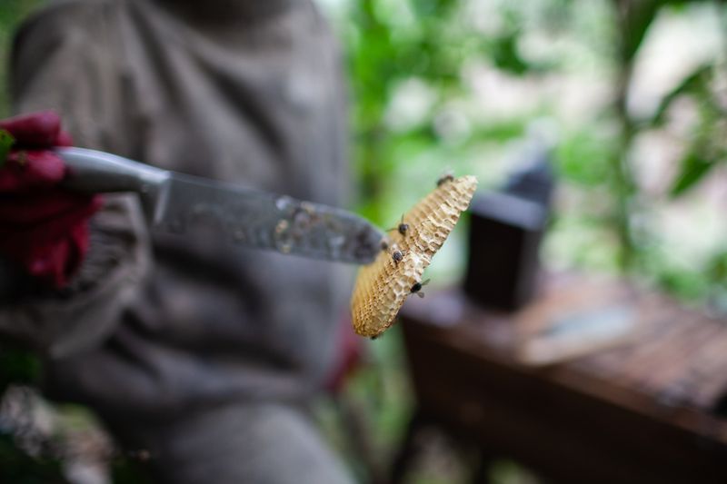 © Eleri Griffiths - Bi-products such as wax can bee use to make candles, soaps and salves which is an additional way to generate income.