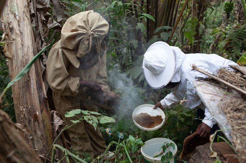 © Eleri Griffiths - Image from the The Women Beekeepers of Bamenda photography project