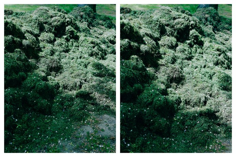 © Hyungsik Kim - Pollen Pollen, 2023