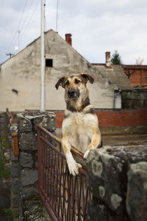 © Jaka Teršek & Ivan Tomašević - The Balkan Frontier 001