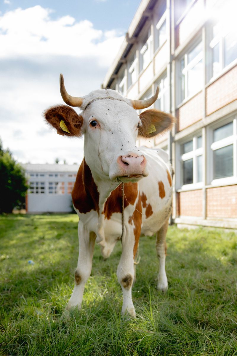 © Jaka Teršek & Ivan Tomašević - The Balkan Frontier 006