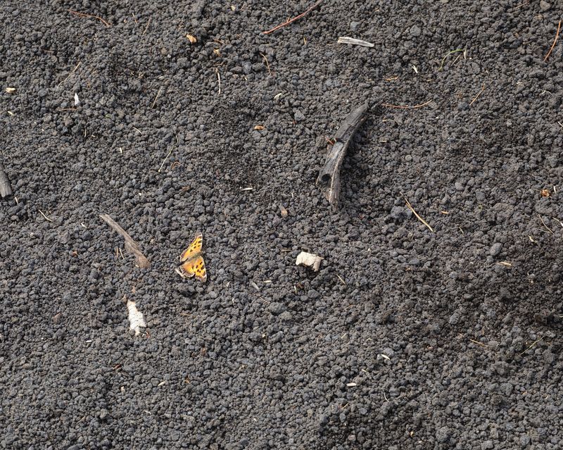 © MINGSHUO ZHU - Image from the The Fire After the Night Before photography project
