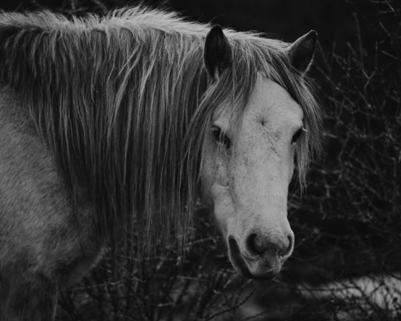 © MINGSHUO ZHU - Image from the The Fire After the Night Before photography project
