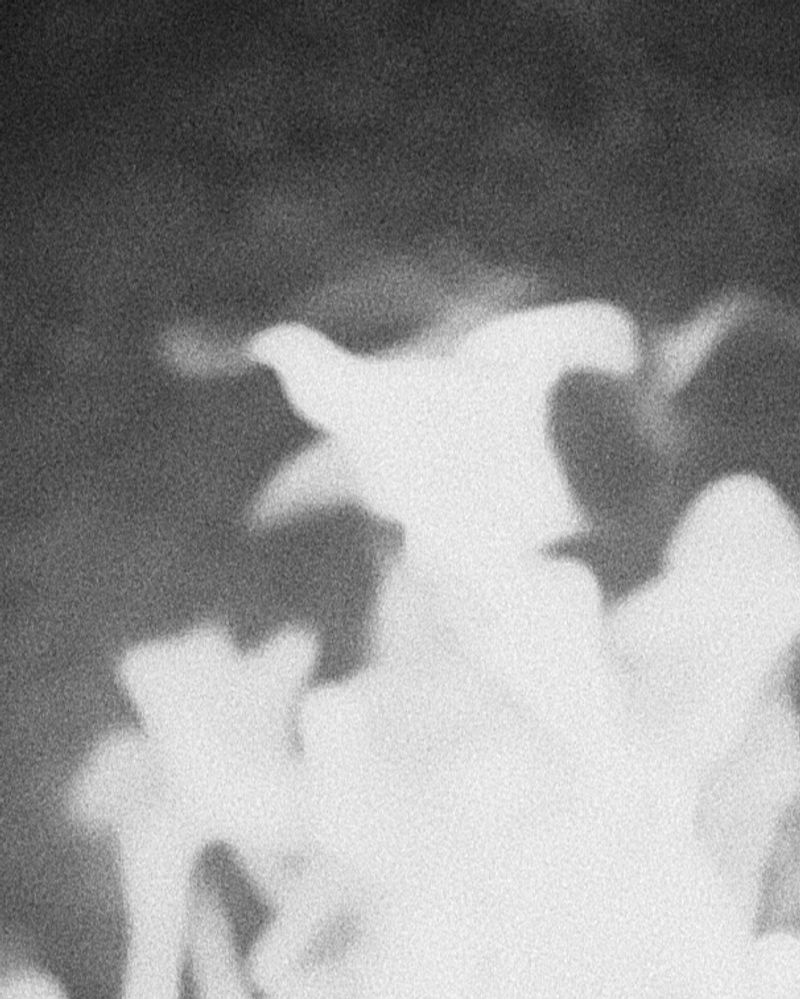 © MINGSHUO ZHU - Image from the The Fire After the Night Before photography project