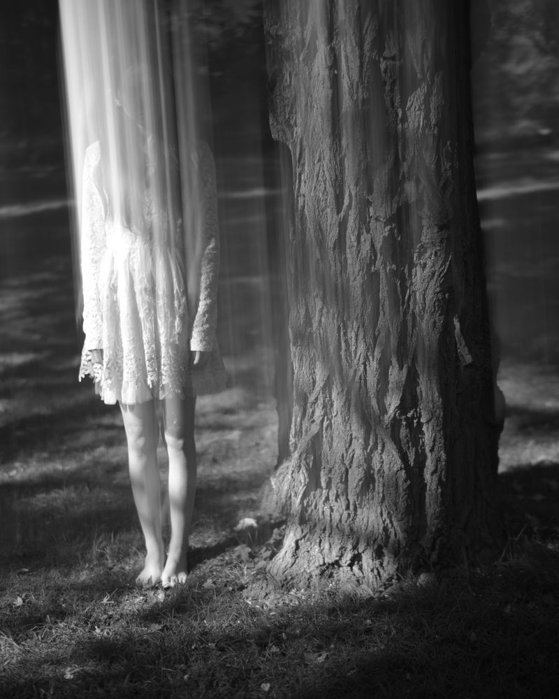 © MINGSHUO ZHU - Image from the 休 Of Human Of tree photography project