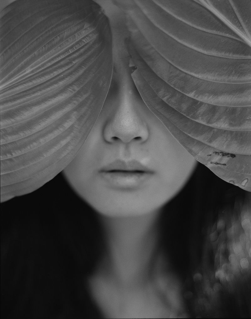 © MINGSHUO ZHU - Image from the 休 Of Human Of tree photography project