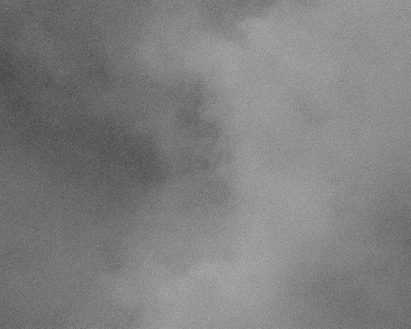 © MINGSHUO ZHU - Image from the 休 Of Human Of tree photography project