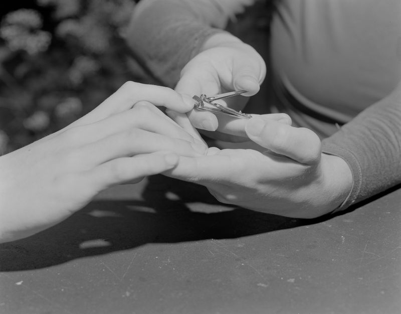 © Rosemary Haynes - Image from the Arnica photography project