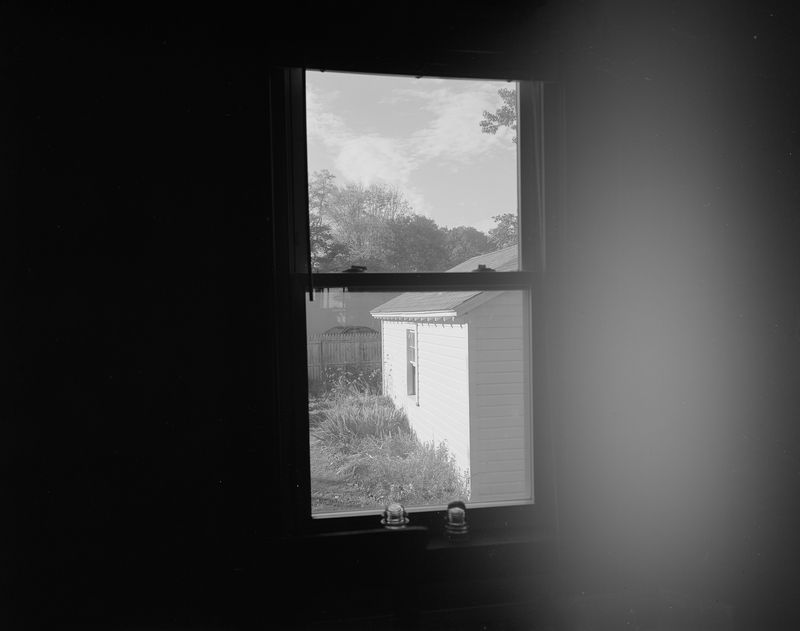 © Rosemary Haynes - Image from the Arnica photography project
