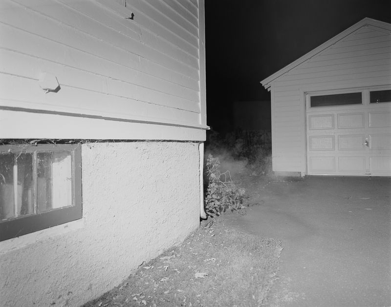 © Rosemary Haynes - Image from the Arnica photography project