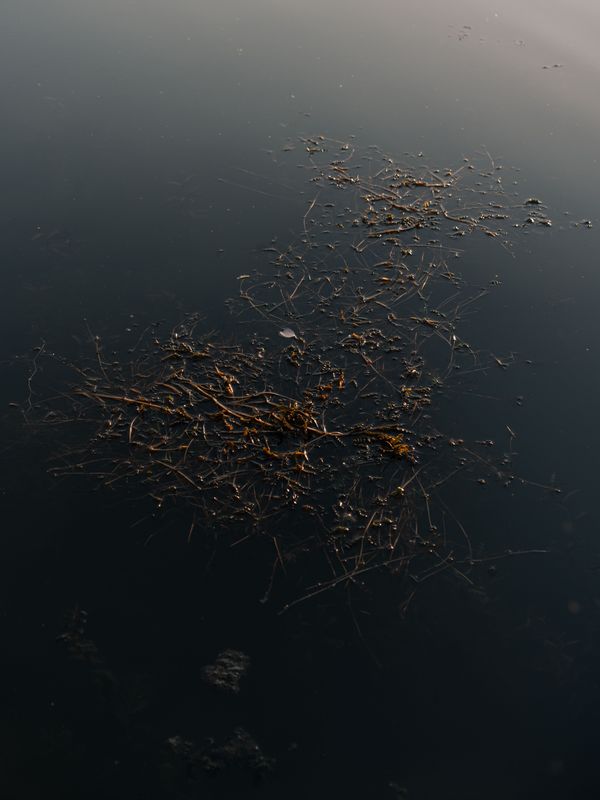 © Jan Kräutle - Image from the Contigeläde photography project