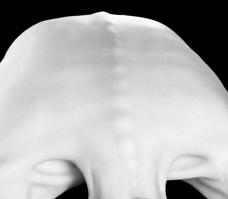 © Anna Lazareva - Image from the Metaphysical Body Landscapes photography project