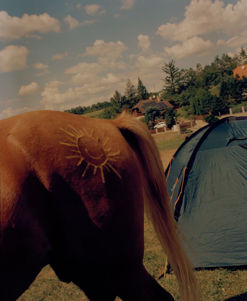 © Varvara Gorbunova - Image from the Midday Heat at the Stables photography project