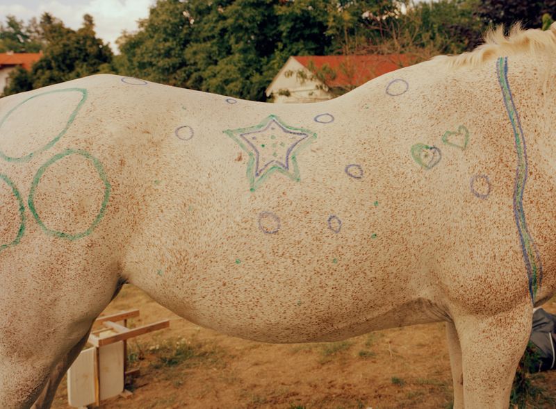 © Varvara Gorbunova - Image from the Midday Heat at the Stables photography project