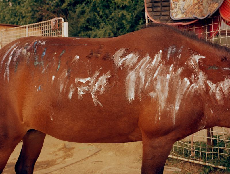 © Varvara Gorbunova - Image from the Midday Heat at the Stables photography project