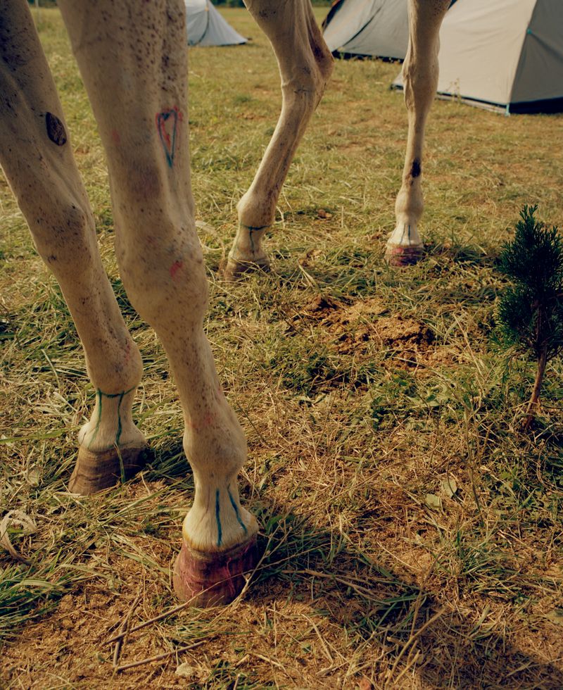 © Varvara Gorbunova - Image from the Midday Heat at the Stables photography project