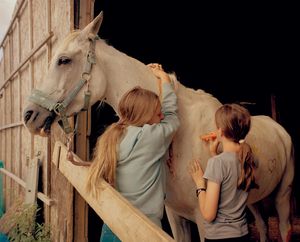 Midday Heat at the Stables