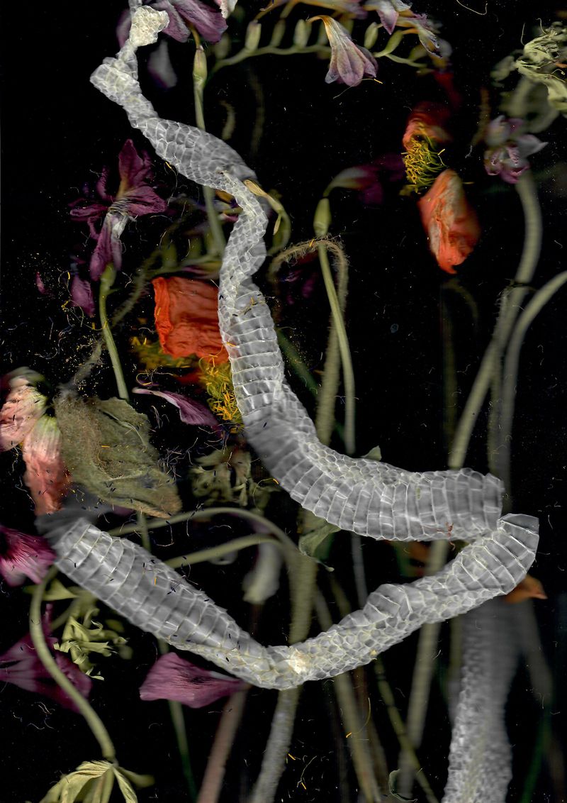 © Pandora Graessl - Image from the Strange(r) Paradise photography project