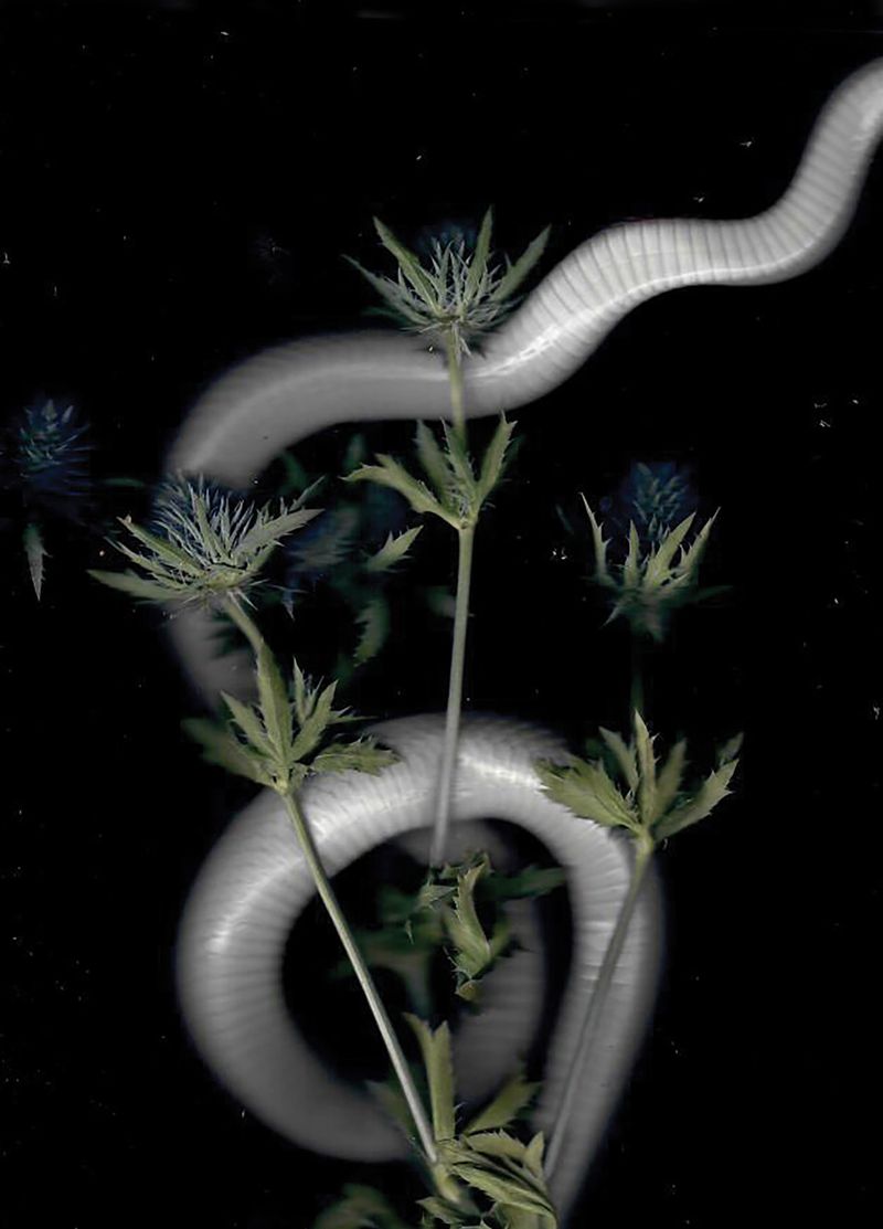 © Pandora Graessl - Image from the Strange(r) Paradise photography project