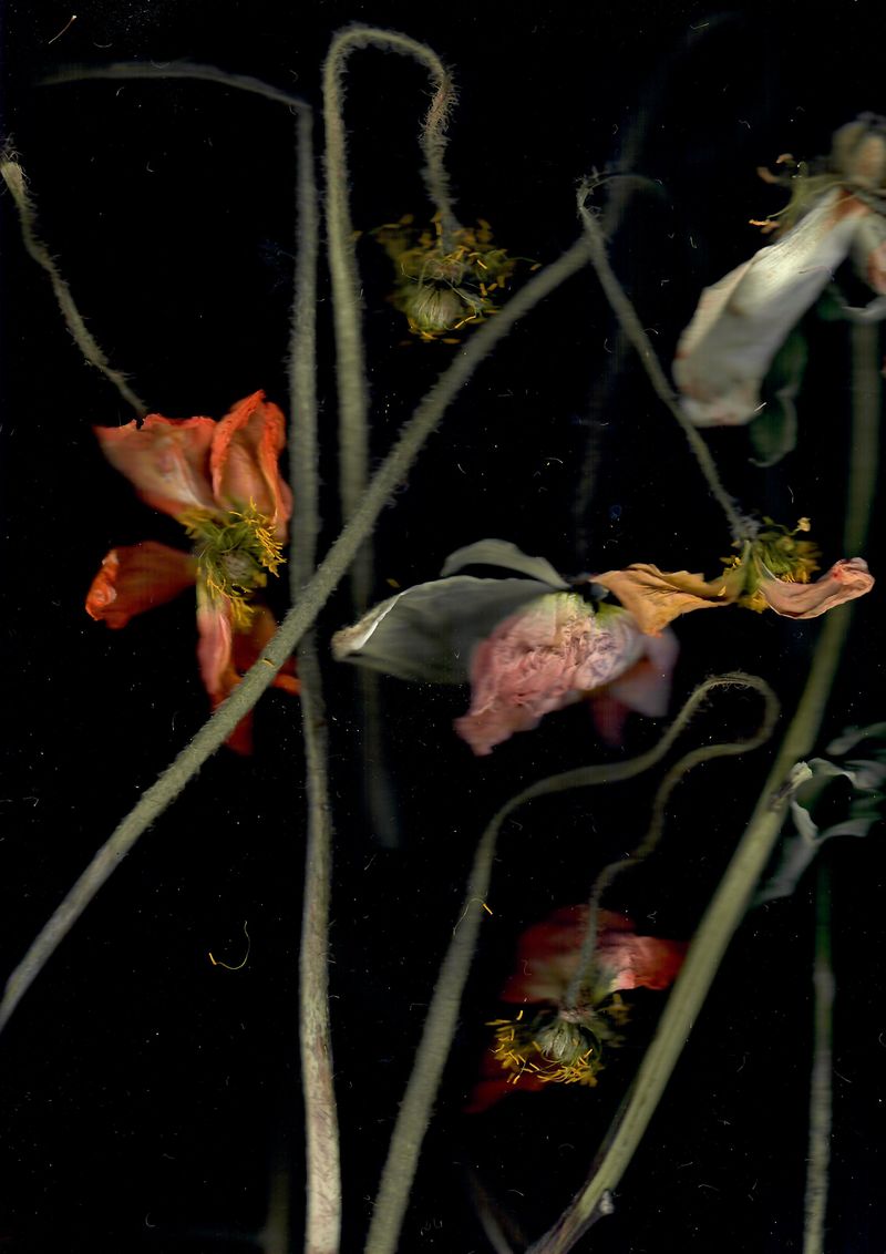 © Pandora Graessl - Image from the Strange(r) Paradise photography project