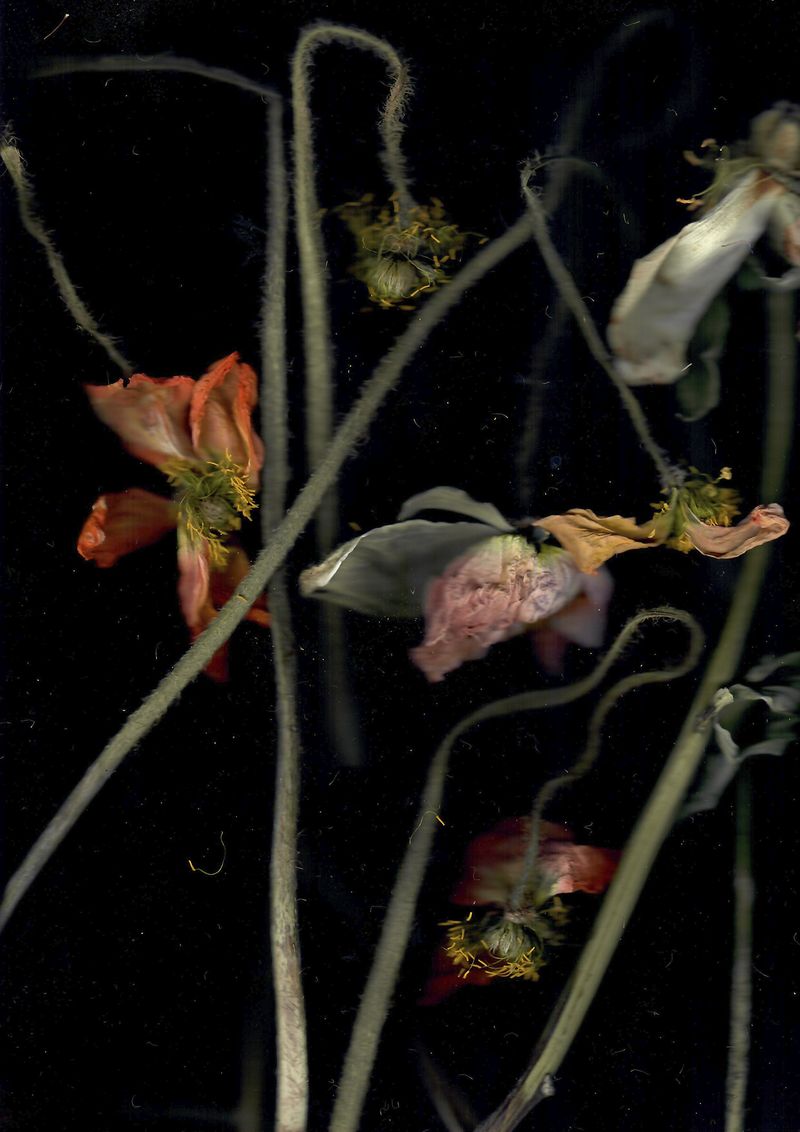 © Pandora Graessl - Image from the Strange(r) Paradise photography project