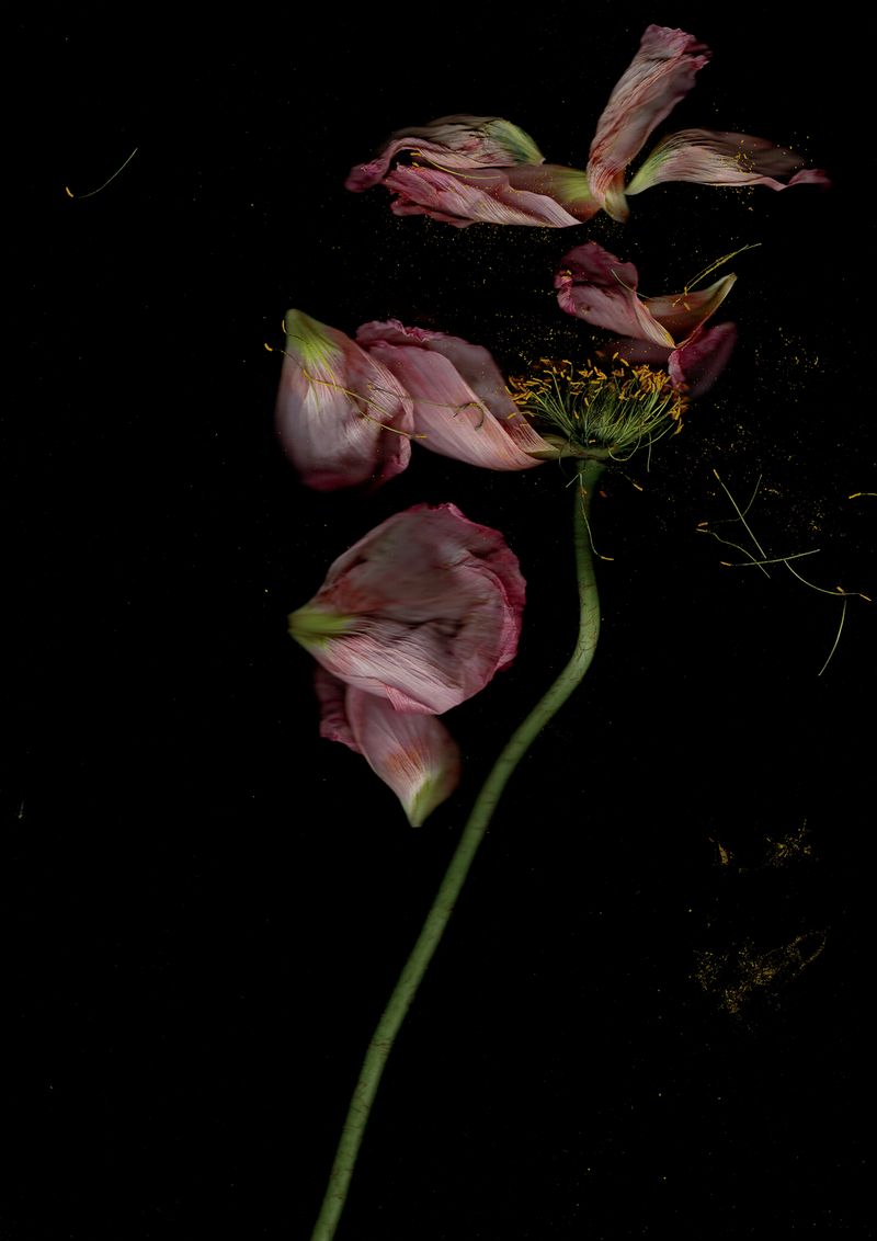 © Pandora Graessl - Image from the Strange(r) Paradise photography project