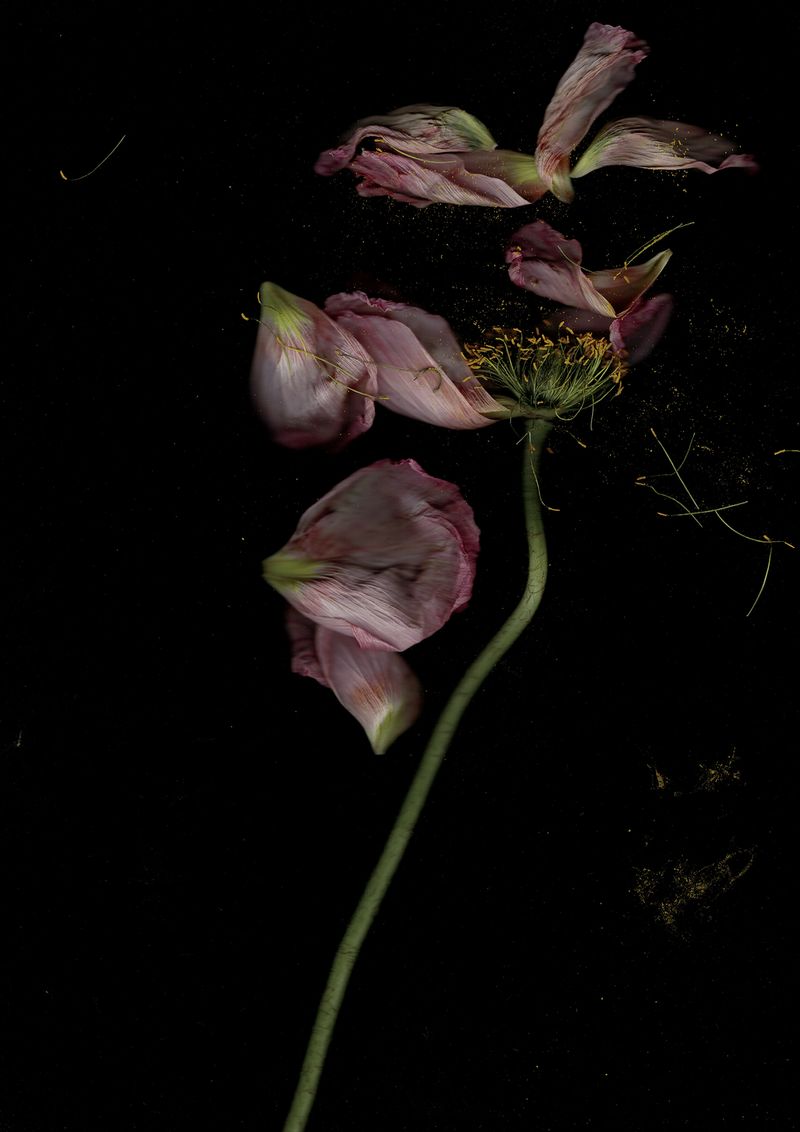 © Pandora Graessl - Image from the Strange(r) Paradise photography project