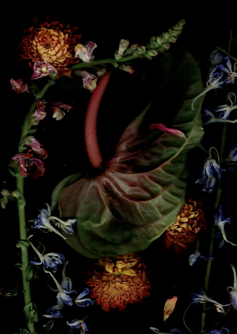 © Pandora Graessl - Image from the Strange(r) Paradise photography project