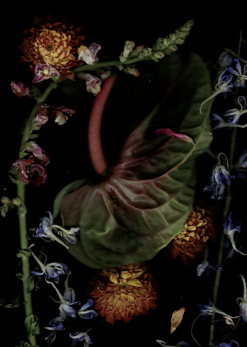© Pandora Graessl - Image from the Strange(r) Paradise photography project