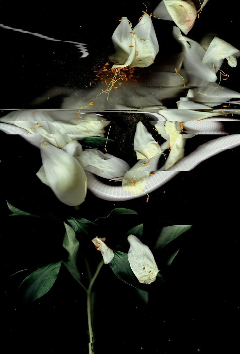 © Pandora Graessl - Image from the Strange(r) Paradise photography project