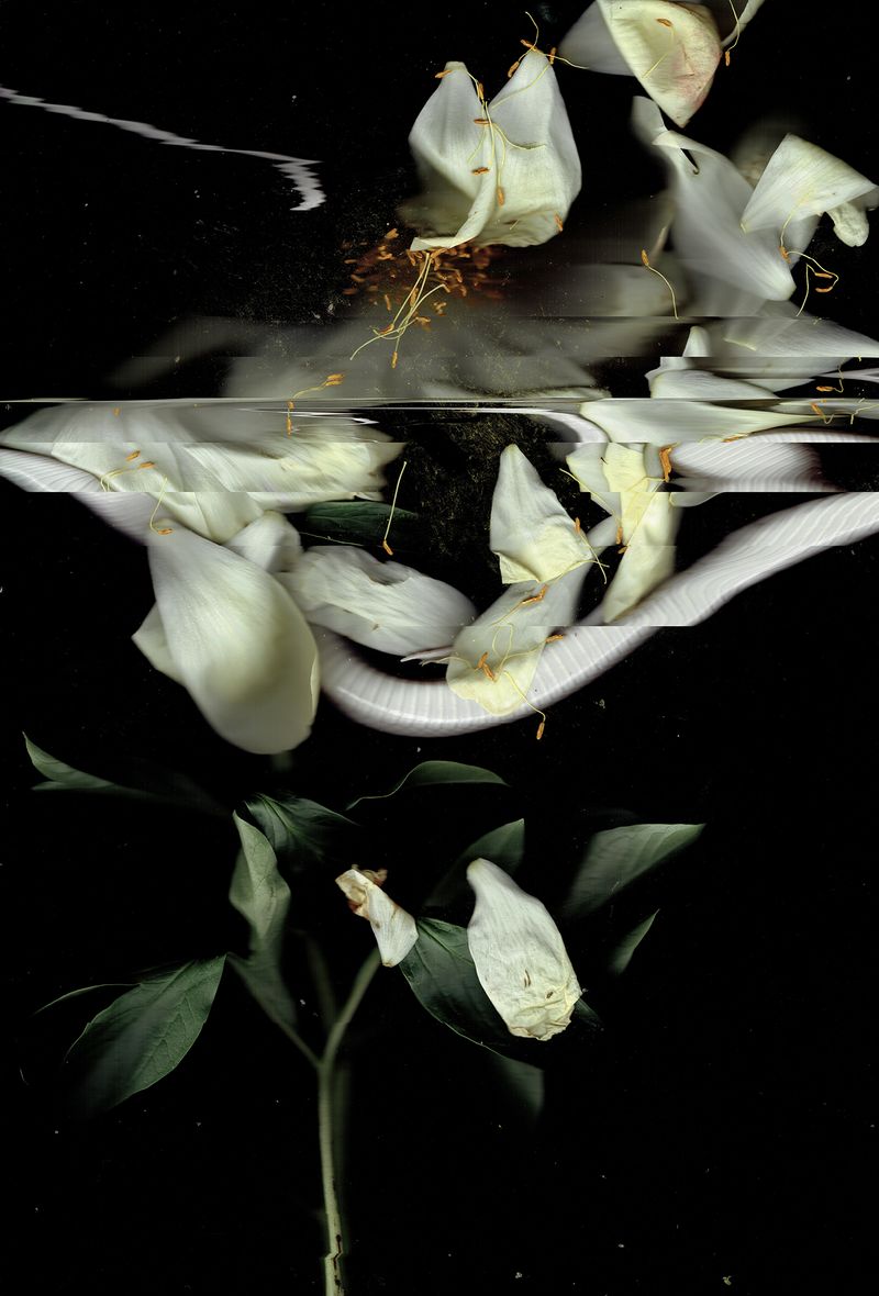 © Pandora Graessl - Image from the Strange(r) Paradise photography project