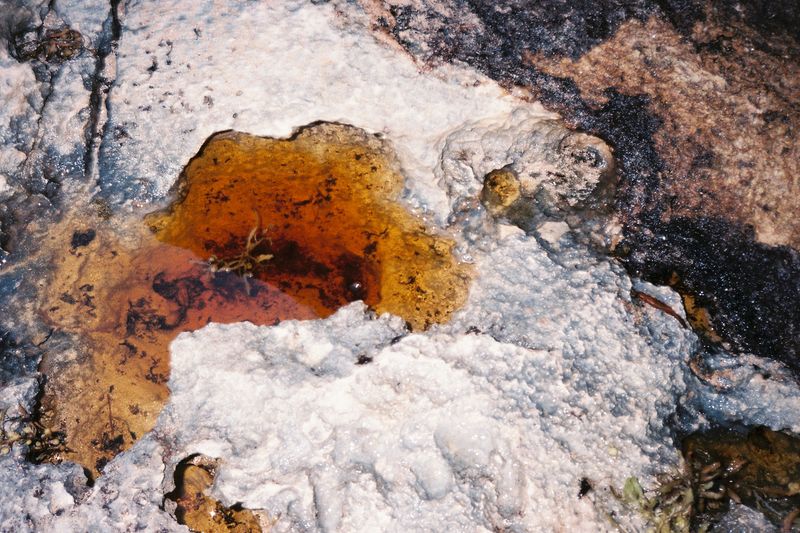 © Pandora Graessl - Image from the Strange(r) Paradise photography project