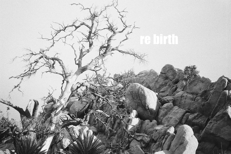 © Pandora Graessl - Image from the RE Project  Nature Campaign photography project