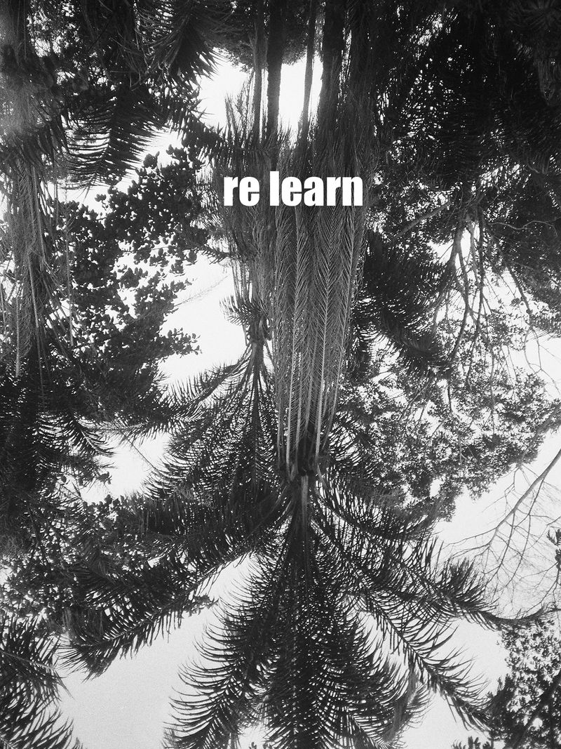 © Pandora Graessl - Image from the RE Project  Nature Campaign photography project