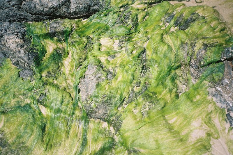 © Pandora Graessl - Image from the Life Matters photography project