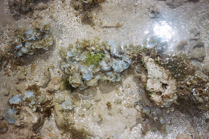 © Pandora Graessl - Image from the Life Matters photography project