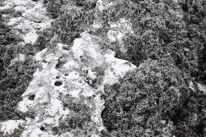 © Pandora Graessl - Image from the Life Matters photography project