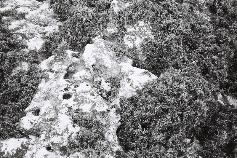 © Pandora Graessl - Image from the Life Matters photography project