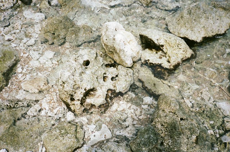 © Pandora Graessl - Image from the Life Matters photography project