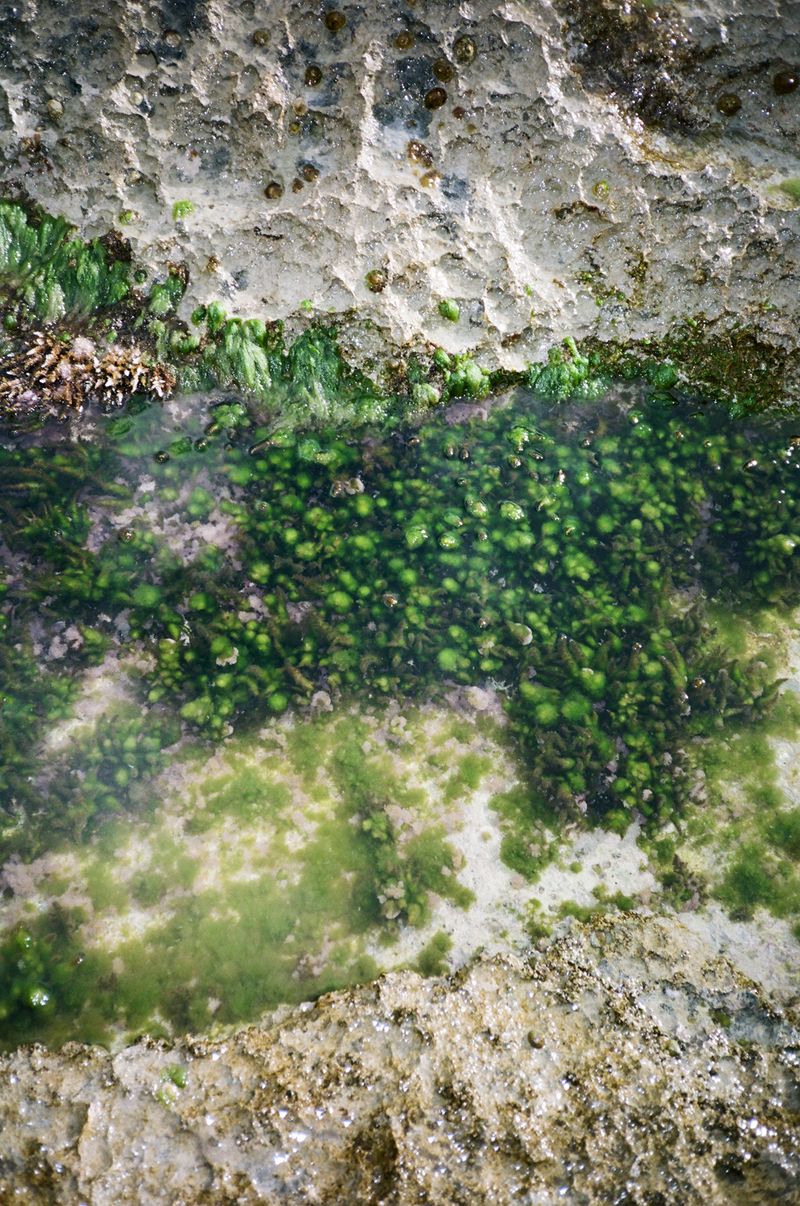 © Pandora Graessl - Image from the Life Matters photography project