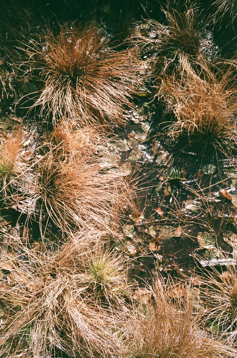 © Pandora Graessl - Image from the Life Matters photography project